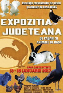 expozitie